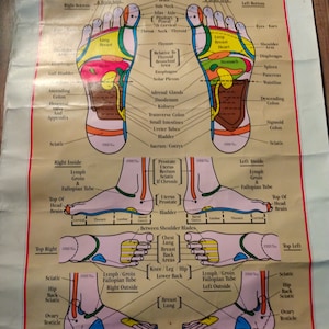 Vintage Reflexology foot chart
