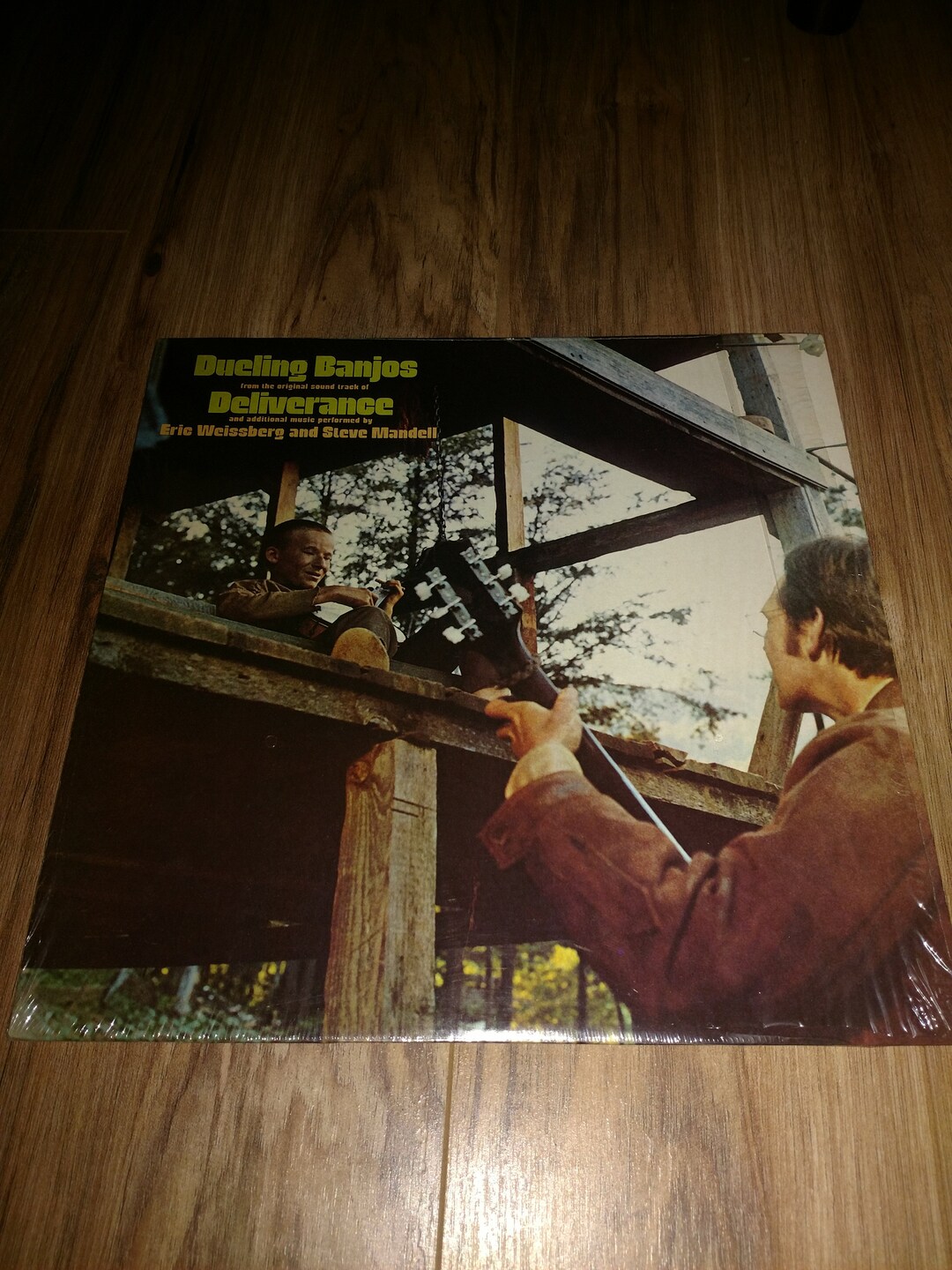 Dueling Banjos From Movie Deliverance Eric Weissberg and Steve Mandell