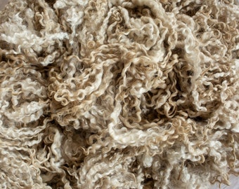 MILDRED #646 - White Natural RINSED Teeswater Fleece - Wool Fiber - 8/26/2022