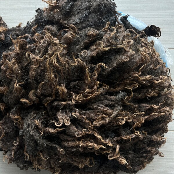 592 DOCIE Crossbred Wensleydale / Leicester Longwool Fleece Natural Color Black Brown 5/26/23