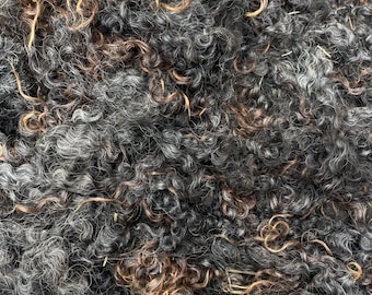 Holly #683 - 6.5lb Wensleydale Raw Fleece Natural Charcoal Wool Fiber Sheared 12/9/24