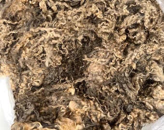 884 REDBUD - Wensleydale Raw Fleece Natural White Wool Fiber 11/15/23