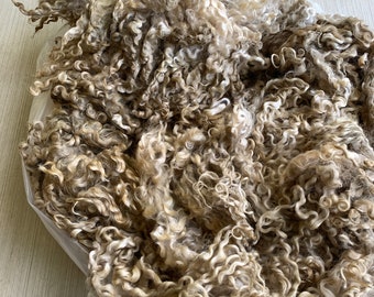 658 TASHA Wensleydale Fleece Natural Color White 8/2/22