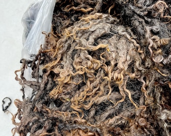 Dora #581 - 6lb Wensleydale Raw Fleece Natural Wool Fiber Sheared 12/9/24