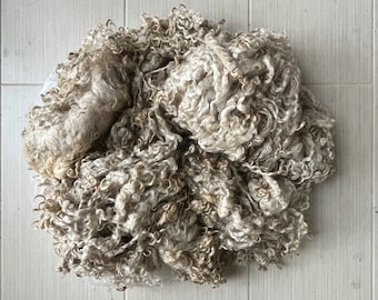 515 VENEZIA Wensleydale Rinsed Fleece Natural Color White 8/26/22
