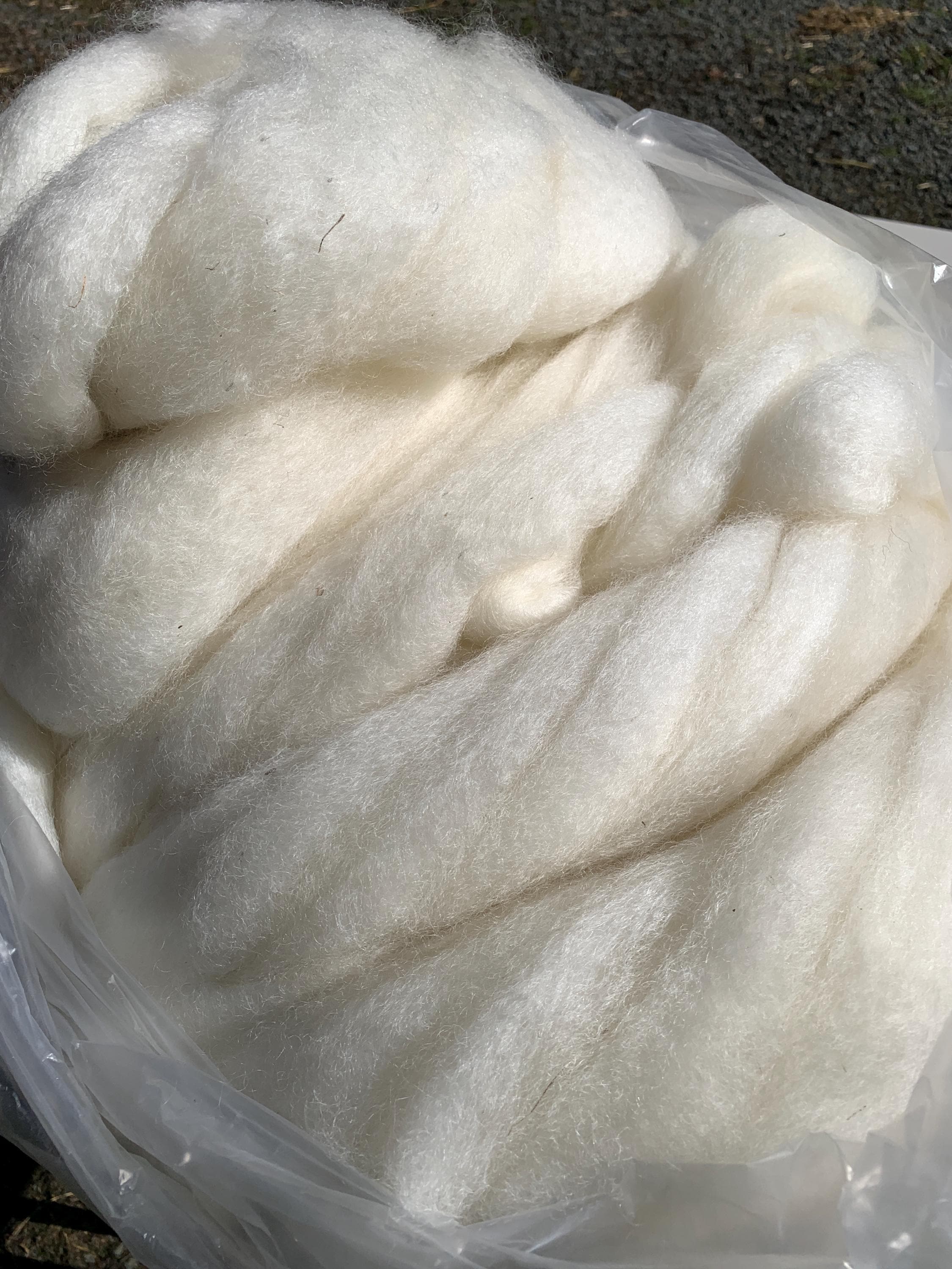 Raw sheep wool - Etsy 日本