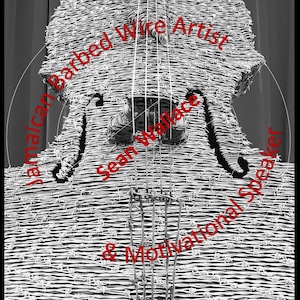 Cartel, cartel Original, cartel de música, Jimmy Hendrix, bajo cartel, violín, bajo vertical, musica arte, música cartel, poster autografiado, firmado
