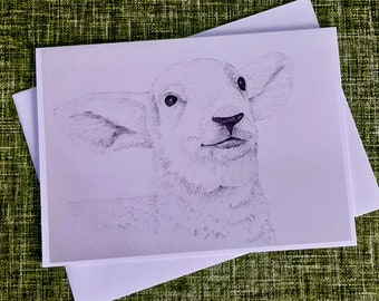 Lamb sheep blank greetings card