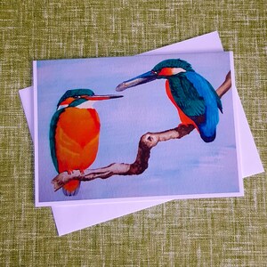 Eisvogel Vögel blanko Grußkarte