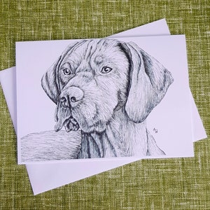 Vizsla chien pointeur hongrois carte de voeux vierge