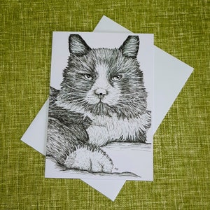 Cat Maine Coon blank greetings card black and white