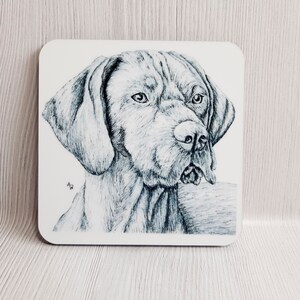 May include: Black and white pen and ink drawing of a German Shorthaired Pointer dog's head and neck. The dog is looking to the right of the image.