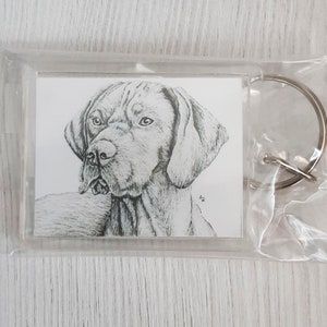 Chaveiro com pingente de bolsa para cachorro húngaro Vizsla