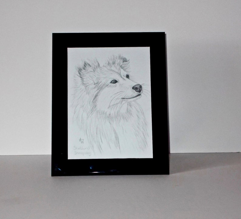 NEW Shetland Sheepdog Shelti dog drawing Brand new Original framed pencil