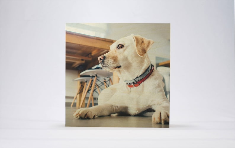 Personalized Photo Block Pet Photo Personalized Gift Dog Pet Memorial: Pet Portrait Sympathy Gift Pet Photo Gift Photo on wood Puppy