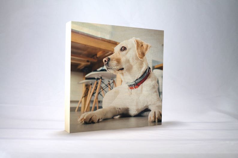 Personalized Photo Block Pet Photo Personalized Gift Dog Pet Memorial: Pet Portrait Sympathy Gift Pet Photo Gift Photo on wood Puppy