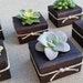 see more listings in the Wedding favors section