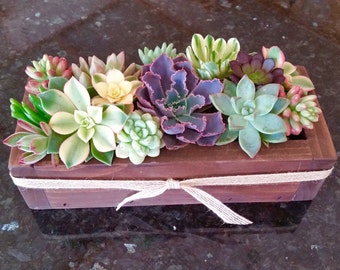 15" SUCCULENT planter box, Succulent gift, Mothers Day gift, Easter