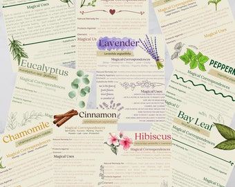 Common Herbs - Book of Shadows, Book of Shadows Pages, Book of Shadows Printable | DIGITAL DOWNLOAD