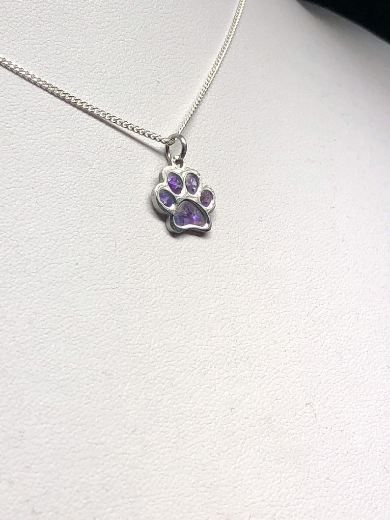 Keepsake Jewelry Cremation Ashes Memorial Dog Paw Cat Paw Necklace Ashes Jewellery