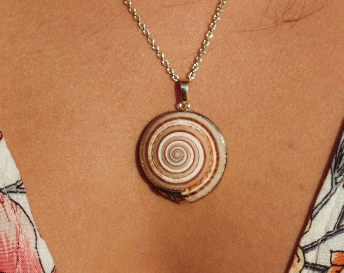 Sundial Shell Necklace