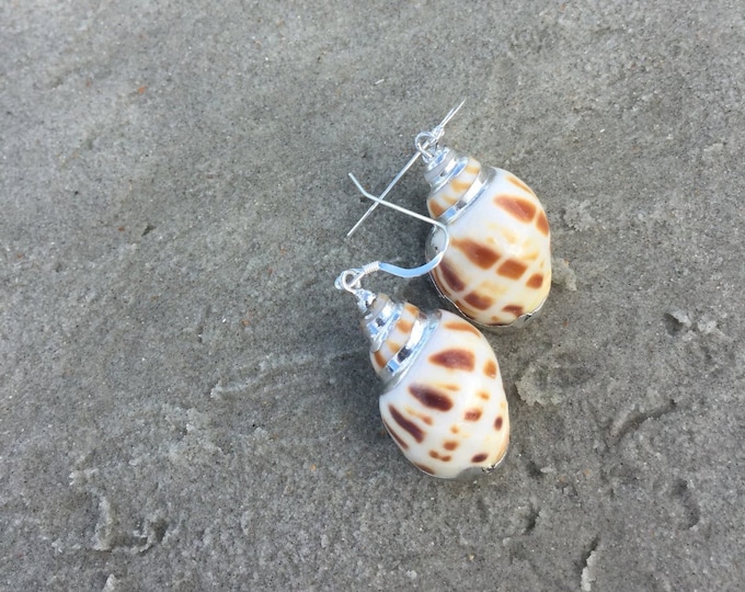 Small Silver Shell Earrings with Sterling Earwire