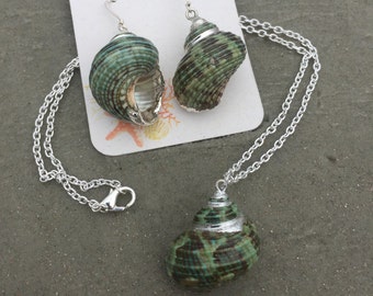Green Turban Shell Jewelry Set: Sterling Silver Earrings & Necklace