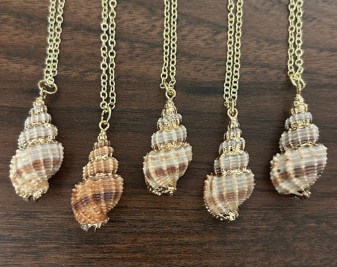 Small Conch Shell Necklace