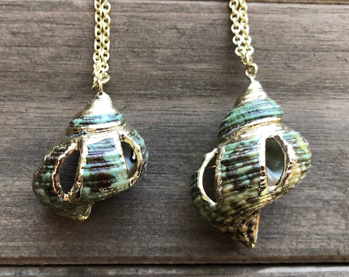 Sliced Green Turban Shell Necklace in Gold