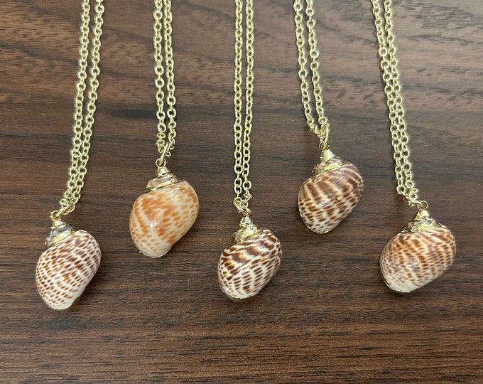 Small Scotch Bonnett Seashell Necklace