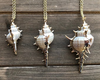 Large Shell Necklace in Gold