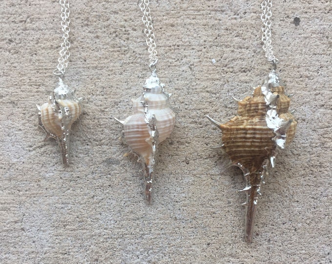 Large Shell Necklace