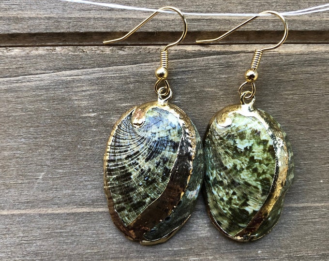 Gold Accented Green Abalone Shell Earrings