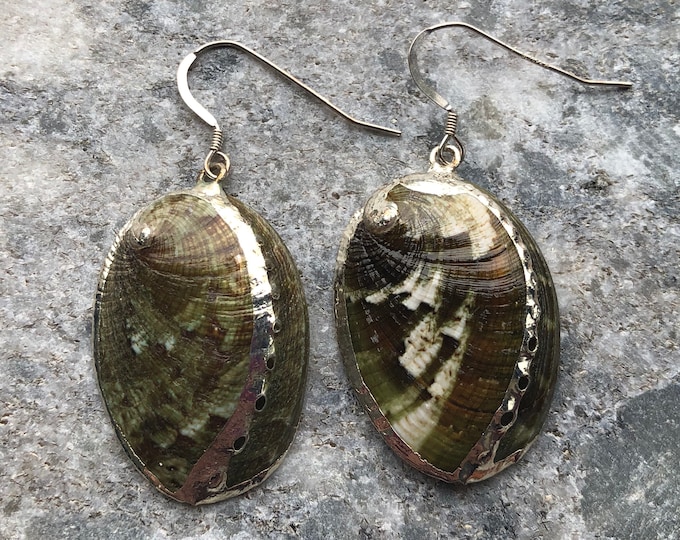 Green Abalone Shell Earrings