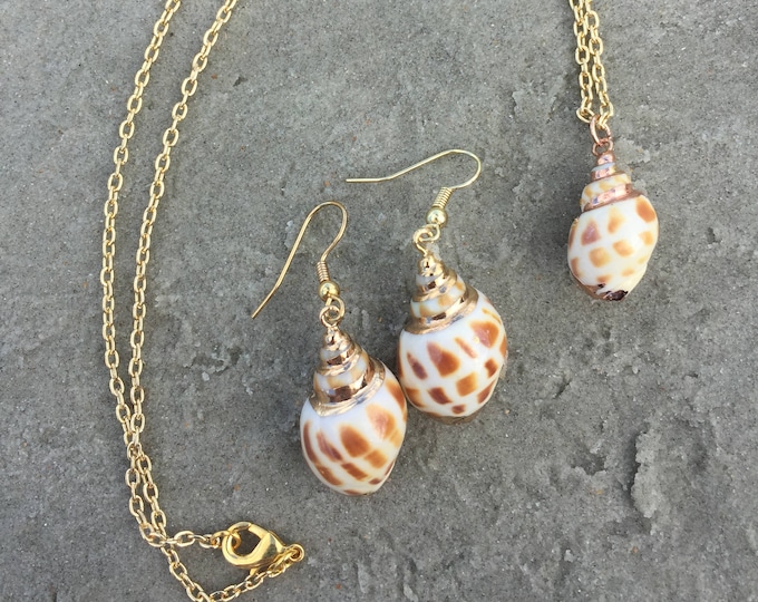 Small Shell Jewelry Set