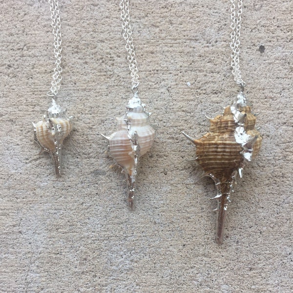 Silver Plated Murex Shell Necklace: Beach Pendant, Mermaid Jewelry