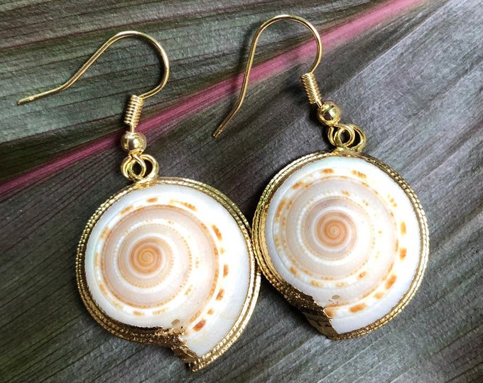 Small Sundial Shell Earrings