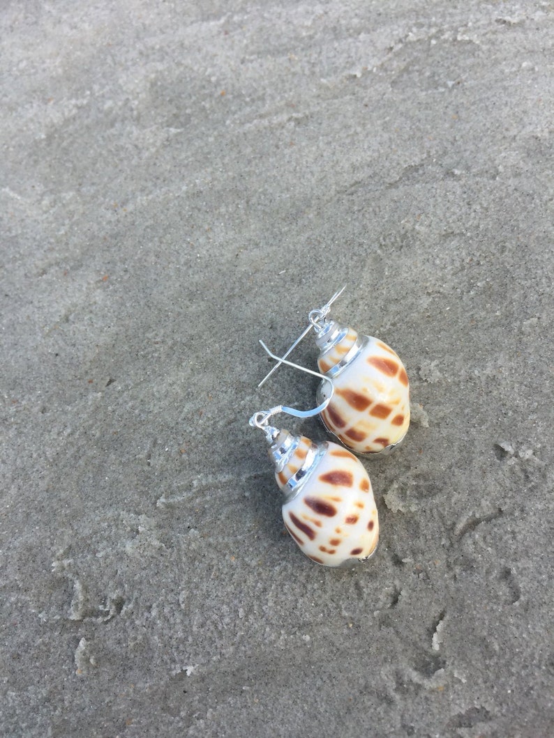 Sea Shell Earrings Mermaid Jewelry Gift Mom Coworker Gift image 1