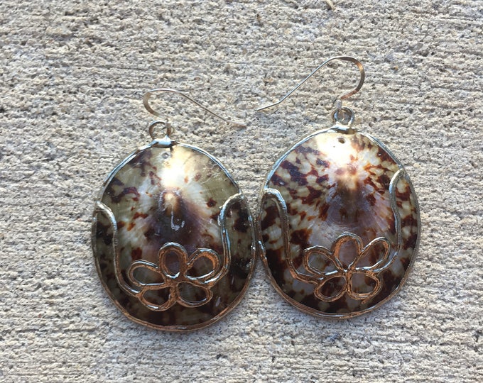 Sterling Silver Brown Turtle Limpet Shell Earrings with Flower Accent