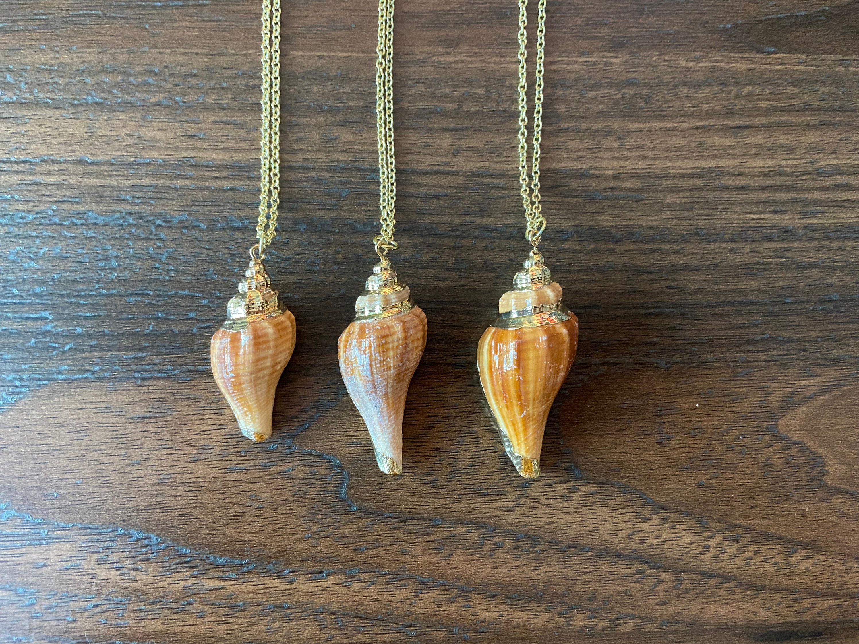 Small Conch Shell Necklace Small Conch Shell Necklace