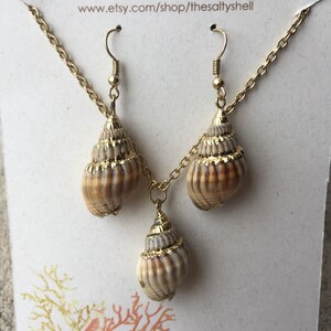 May include: Gold chain necklace with three seashell pendants. The seashells are brown and white with gold accents. The necklace is on a white background with the text "The Salty Shell" and a website address.