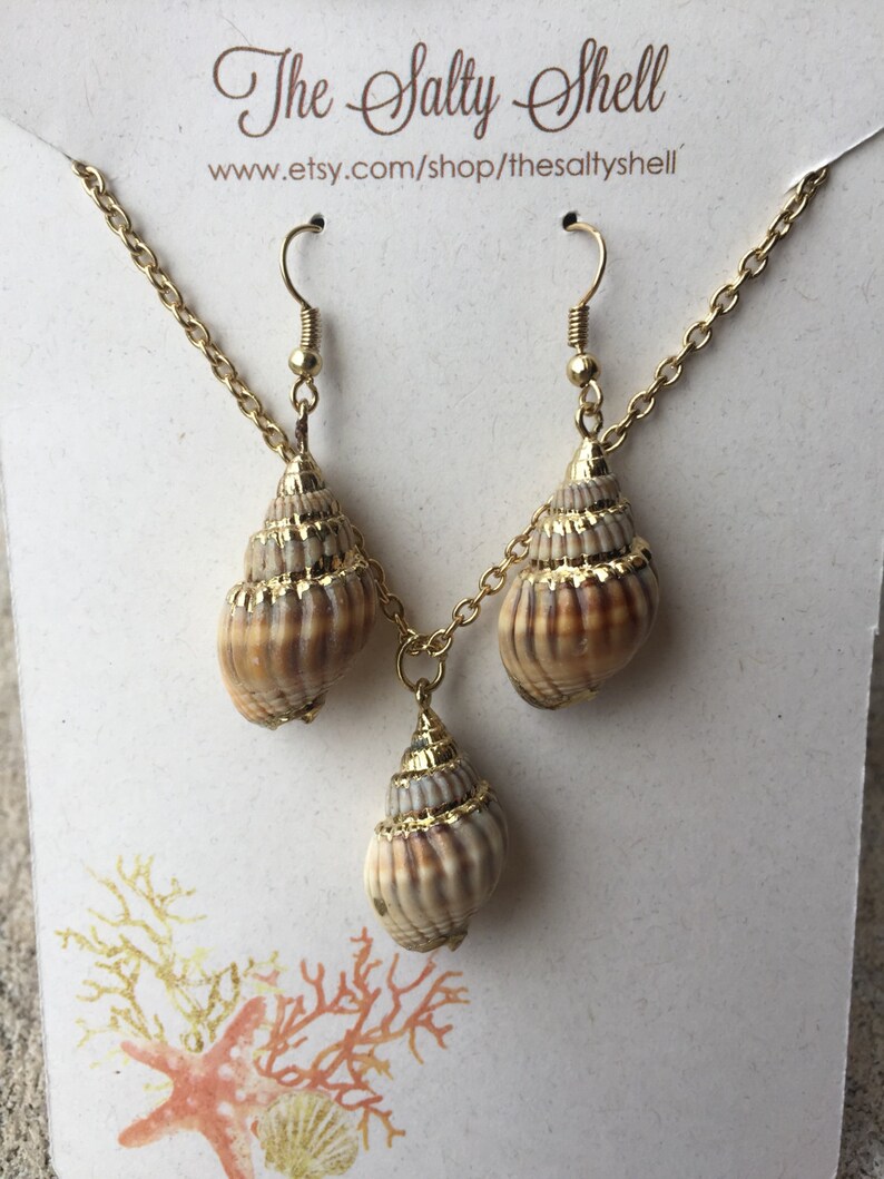 May include: Gold chain necklace with three seashell pendants. The seashells are brown and white with gold accents. The necklace is on a white background with the text "The Salty Shell" and a website address.