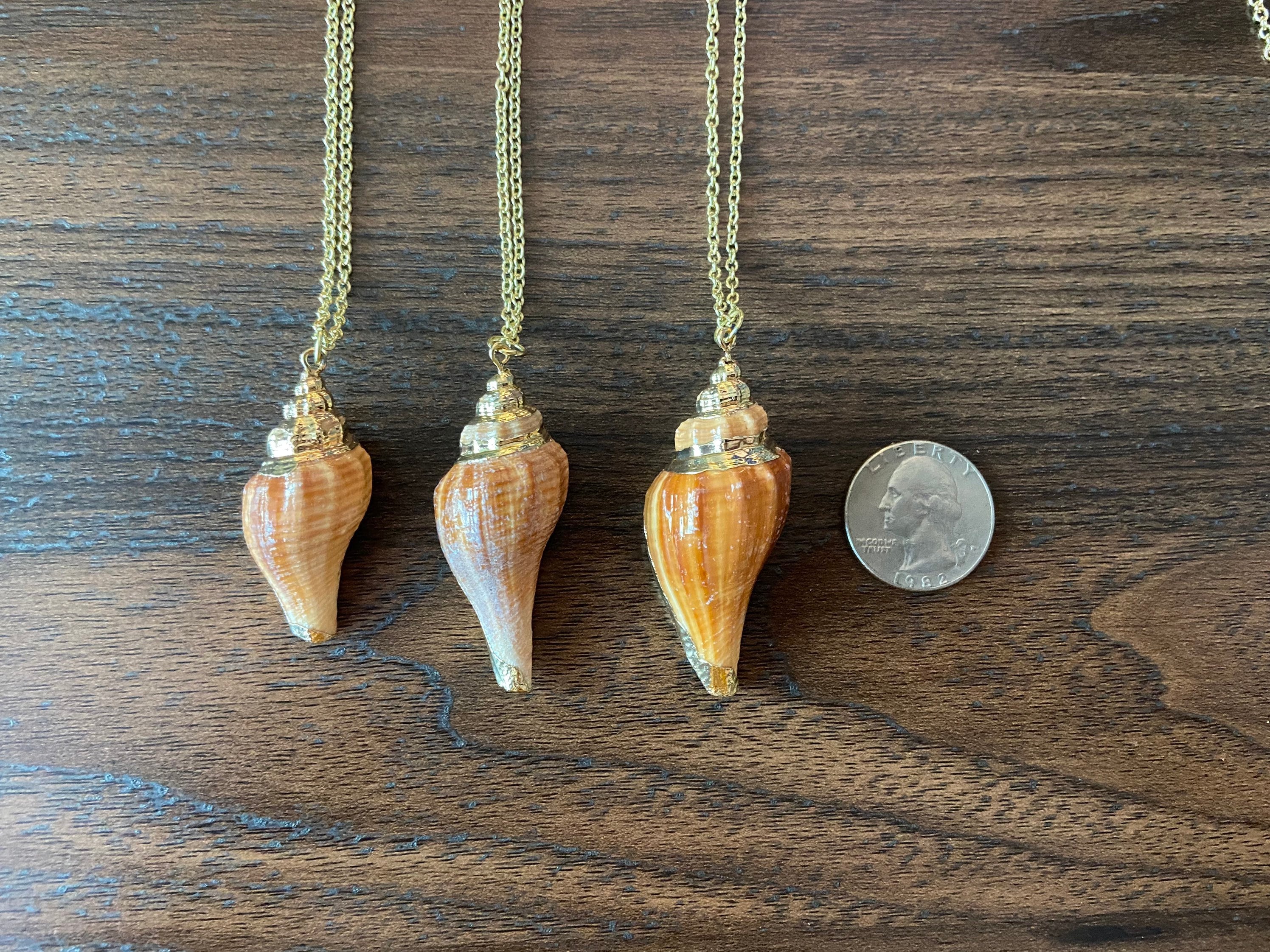 Small Conch Shell Necklace Small Conch Shell Necklace