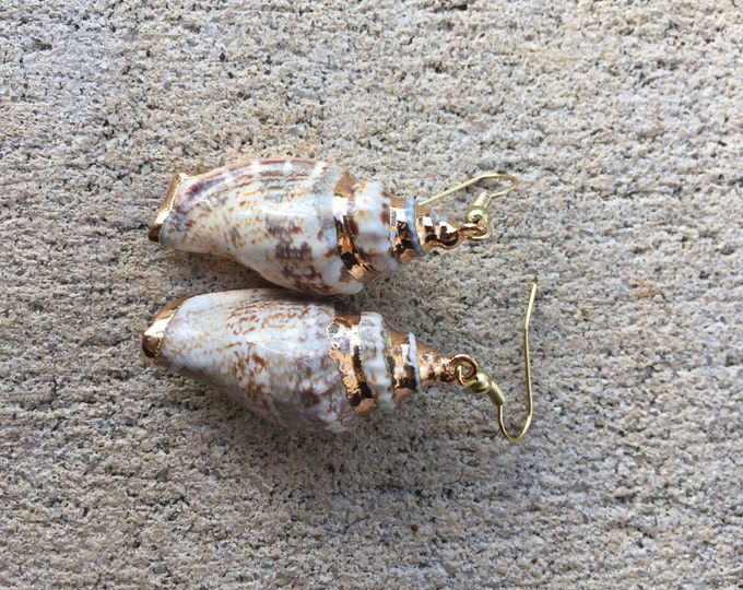 Gold Conch Shell Earrings