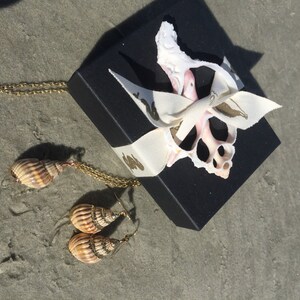 May include: A set of seashell jewelry, including a necklace and earrings. The necklace and earrings feature gold chains and seashells. The jewelry is packaged in a black box with a white ribbon and a seashell.