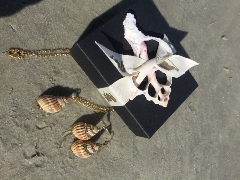 May include: A set of seashell jewelry, including a necklace and earrings. The necklace and earrings feature gold chains and seashells. The jewelry is packaged in a black box with a white ribbon and a seashell.