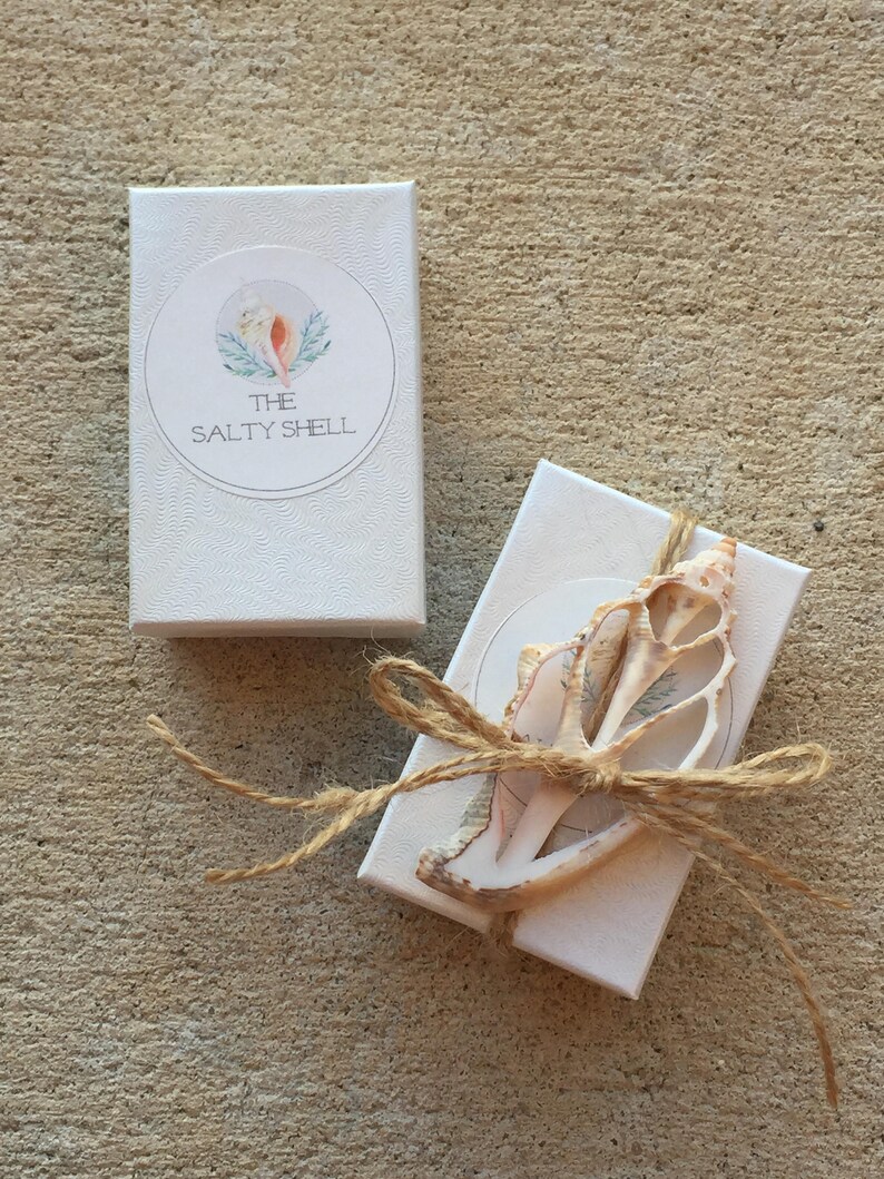 May include: Two white gift boxes with a brown twine bow. The box on the left has a logo that says "The Salty Shell". The box on the right has a seashell tied to the bow.