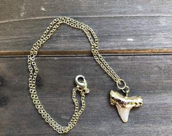 Gold Shark Tooth Necklace, Christmas Gift For Friend Necklace, For Biologist, Shark Jewelry, Gift for Mermaids, Gift Mom, Ocean Lover Gift