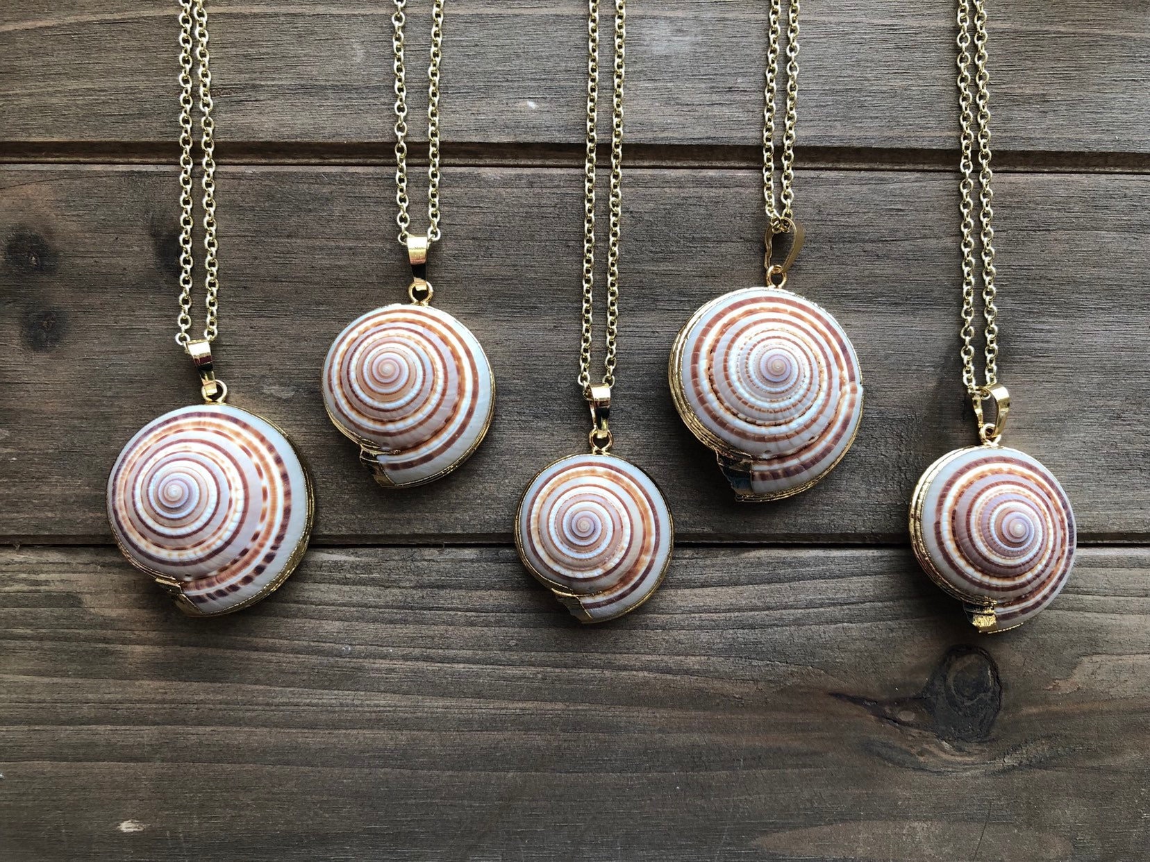 Dorset Snail Shell Pendant — Elly Harvey Silver