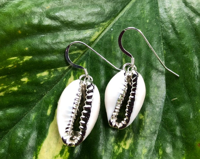 Cowrie Shell Earrings in Silver